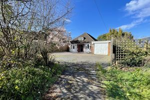 Photo 2- click for photo gallery